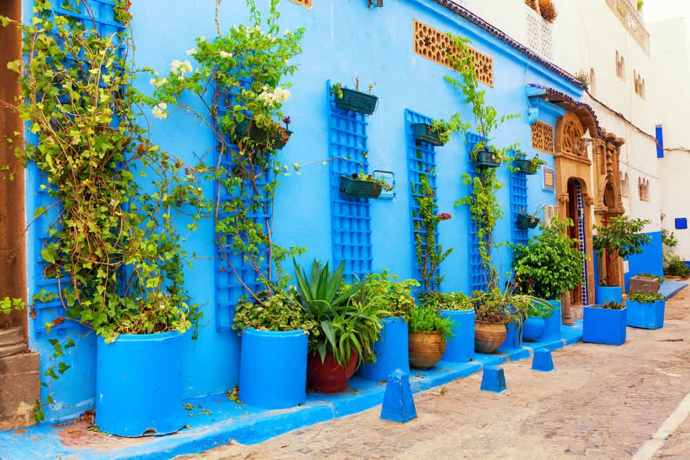 tour Gallery tour Gallery