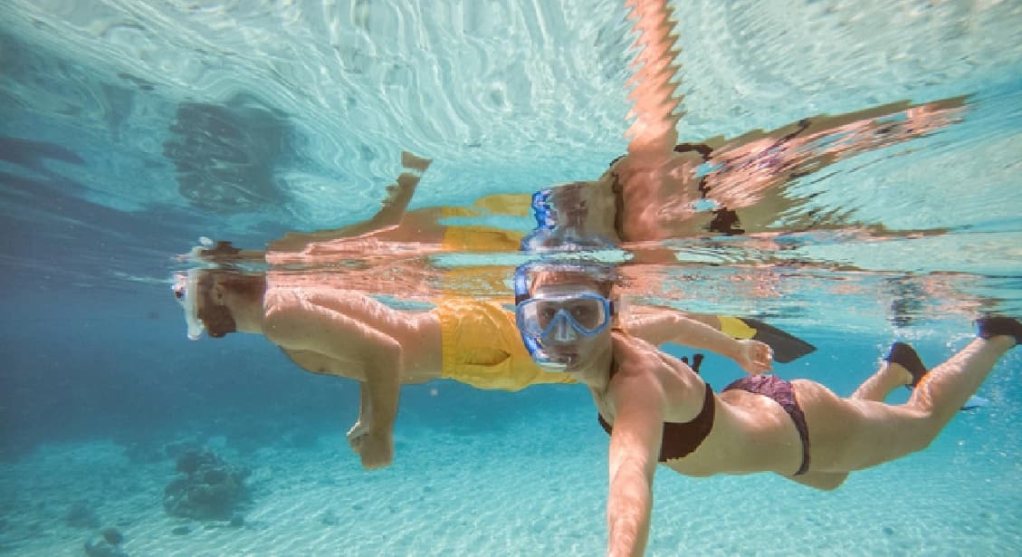 tour Gallery tour Gallery